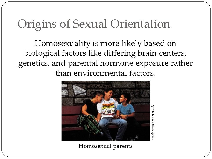 Origins of Sexual Orientation Homosexuality is more likely based on biological factors like differing