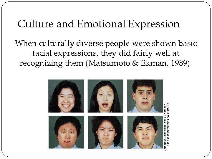 Culture and Emotional Expression When culturally diverse people were shown basic facial expressions, they