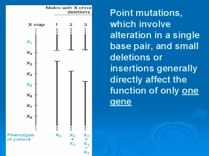Different classes of mutations mutation detection Vincenzo Nigro