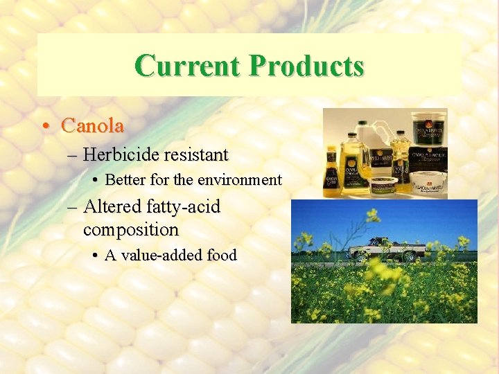 Current Products • Canola – Herbicide resistant • Better for the environment – Altered