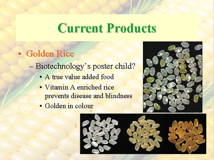 Current Products • Golden Rice – Biotechnology’s poster child? • A true value added