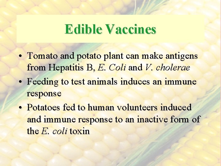 Edible Vaccines • Tomato and potato plant can make antigens from Hepatitis B, E.