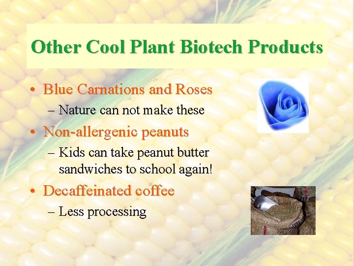 Other Cool Plant Biotech Products • Blue Carnations and Roses – Nature can not