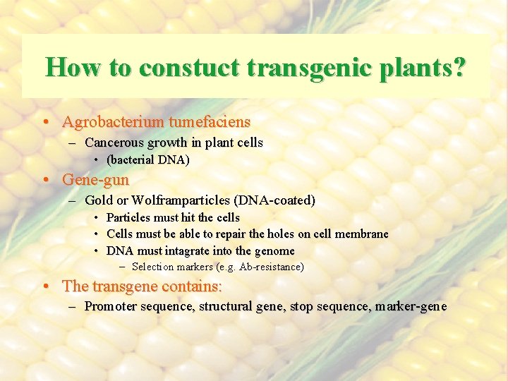 How to constuct transgenic plants? • Agrobacterium tumefaciens – Cancerous growth in plant cells