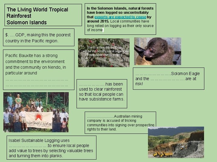 The Living World Tropical Rainforest Solomon Islands In the Solomon Islands, natural forests have