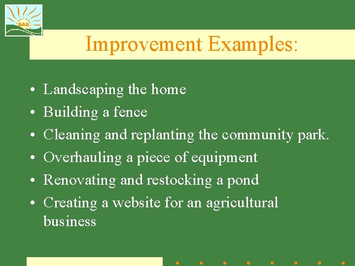 Improvement Examples: • • • Landscaping the home Building a fence Cleaning and replanting