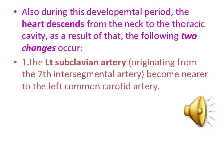  • Also during this developemtal period, the heart descends from the neck to