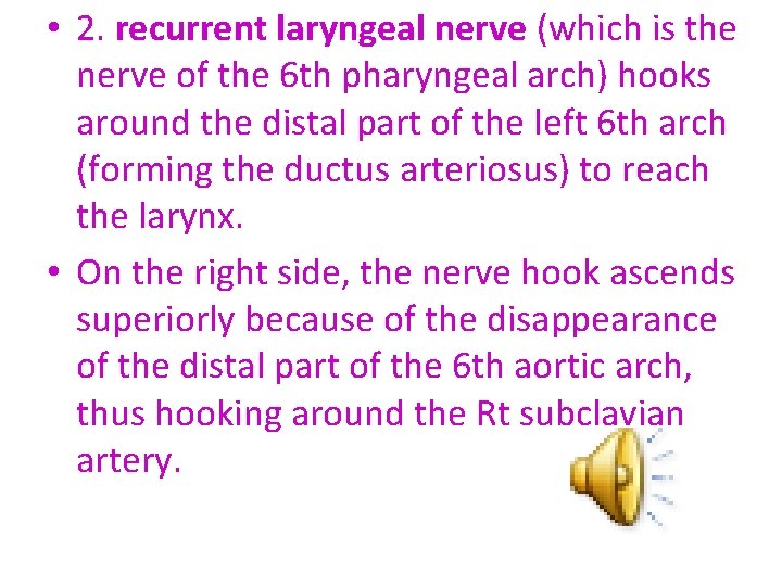  • 2. recurrent laryngeal nerve (which is the nerve of the 6 th