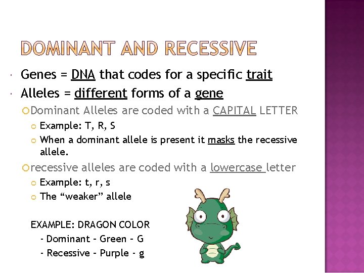  Genes = DNA that codes for a specific trait Alleles = different forms