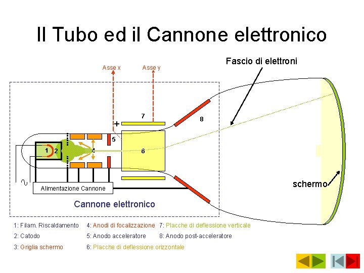 Il Tubo ed il Cannone elettronico Asse x + Fascio di elettroni Asse y