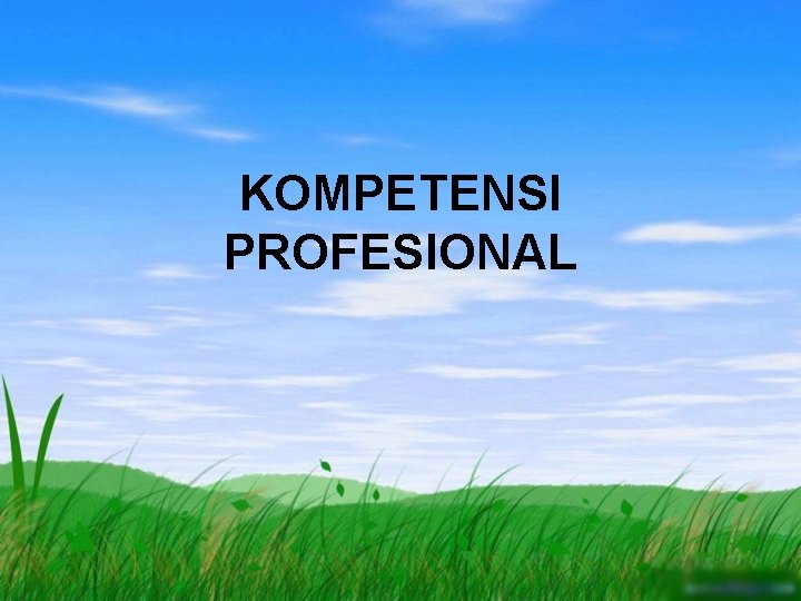 KOMPETENSI PROFESIONAL 