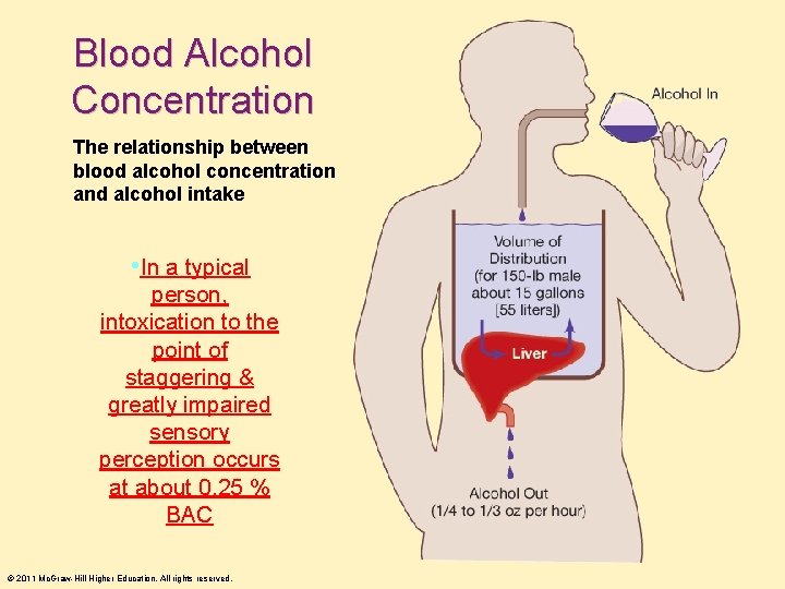 Blood Alcohol Concentration The relationship between blood alcohol concentration and alcohol intake • In