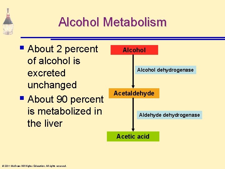 Alcohol Metabolism § About 2 percent of alcohol is excreted unchanged § About 90