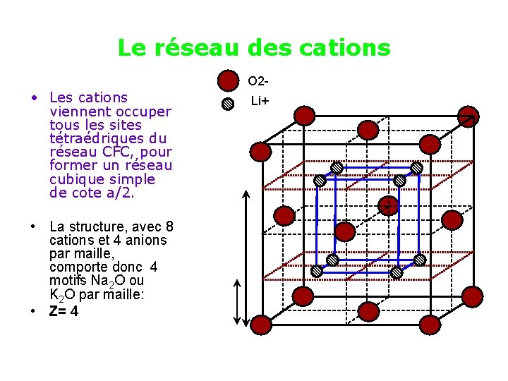 Le réseau des cations O 2 - • Les cations viennent occuper tous les