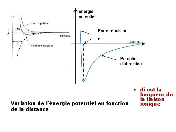 énergie potentiel Forte répulsion di Potentiel d’attraction • di est la longueur de la