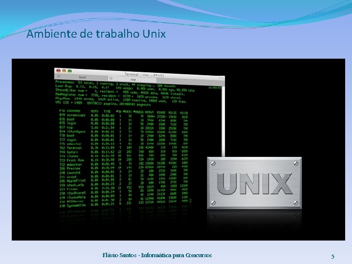 Ambiente de trabalho Unix Flávio Santos - Informática para Concursos 5 