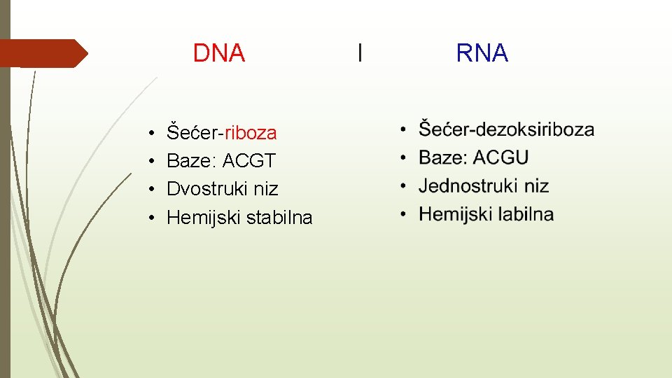 DNA • • Šećer-riboza Baze: ACGT Dvostruki niz Hemijski stabilna I RNA 