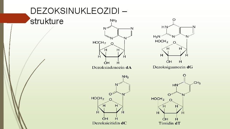 DEZOKSINUKLEOZIDI – strukture 