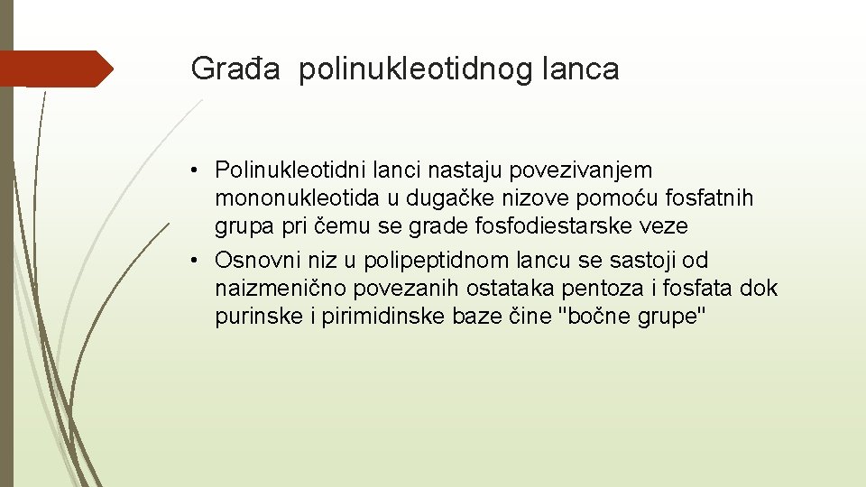 Građa polinukleotidnog lanca • Polinukleotidni lanci nastaju povezivanjem mononukleotida u dugačke nizove pomoću fosfatnih