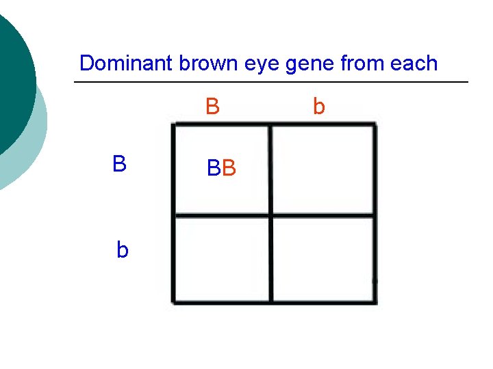 Dominant brown eye gene from each B B b BB b 