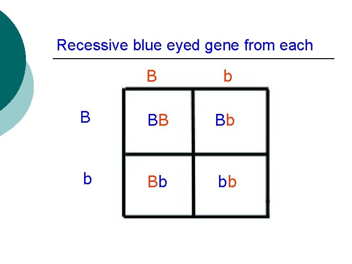 Recessive blue eyed gene from each B b B BB Bb bb 