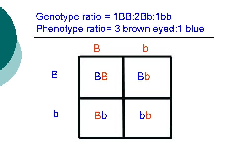 Genotype ratio = 1 BB: 2 Bb: 1 bb Phenotype ratio= 3 brown eyed: