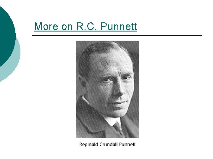 More on R. C. Punnett 