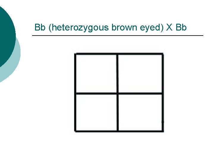 Bb (heterozygous brown eyed) X Bb 