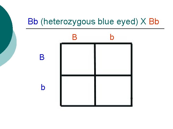 Bb (heterozygous blue eyed) X Bb B B b b 