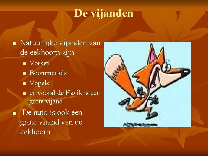 De vijanden n Natuurlijke vijanden van de eekhoorn zijn n n Vossen Boommartels Vogels