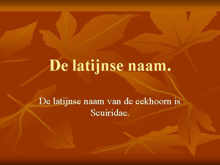 De latijnse naam van de eekhoorn is Scuiridae. 