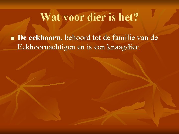 Wat voor dier is het? n De eekhoorn, behoord tot de familie van de