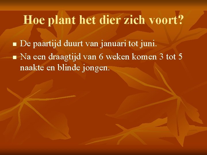 Hoe plant het dier zich voort? n n De paartijd duurt van januari tot