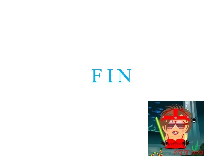 FIN 