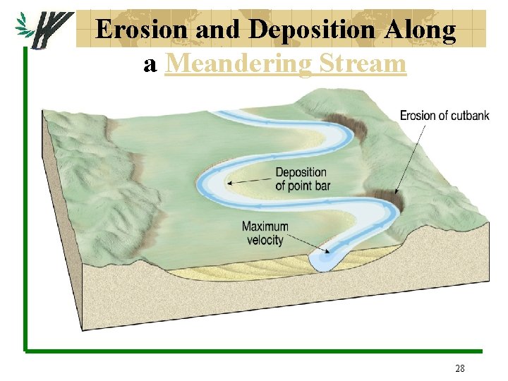 Erosion and Deposition Along a Meandering Stream 28 