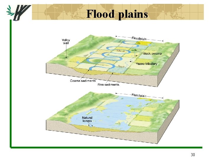 Flood plains 30 