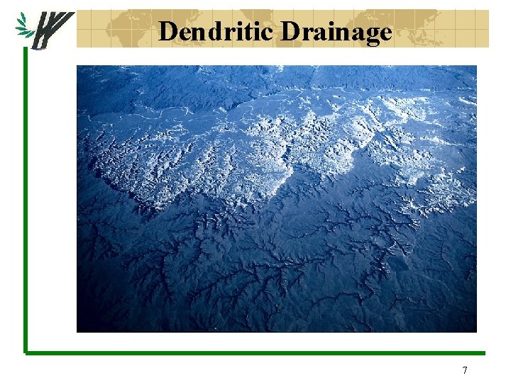Dendritic Drainage 7 