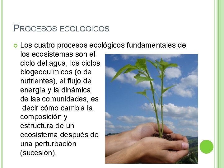 PROCESOS ECOLOGICOS Los cuatro procesos ecológicos fundamentales de los ecosistemas son el ciclo del