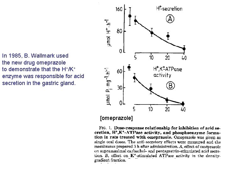 In 1985, B. Wallmark used the new drug omeprazole to demonstrate that the H+/K+