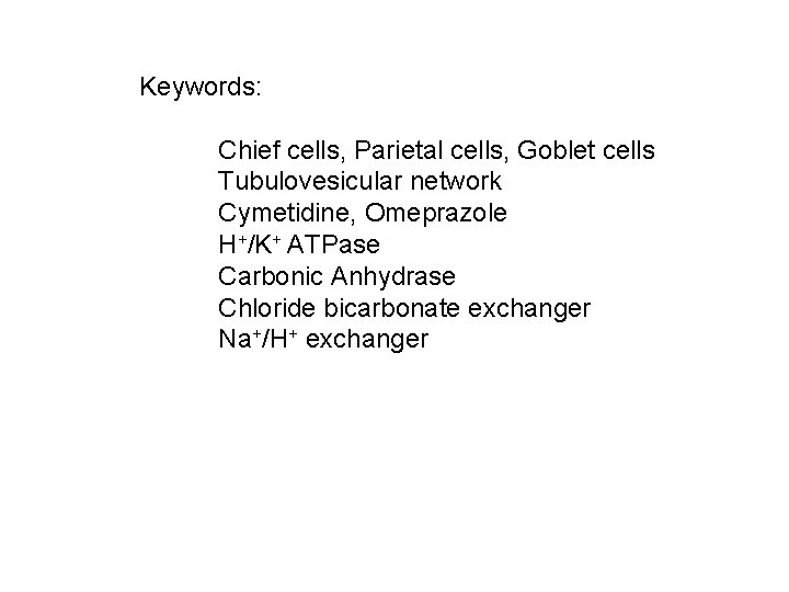 Keywords: Chief cells, Parietal cells, Goblet cells Tubulovesicular network Cymetidine, Omeprazole H+/K+ ATPase Carbonic