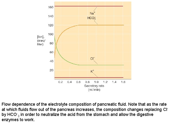 Flow dependence of the electrolyte composition of pancreatic fluid. Note that as the rate