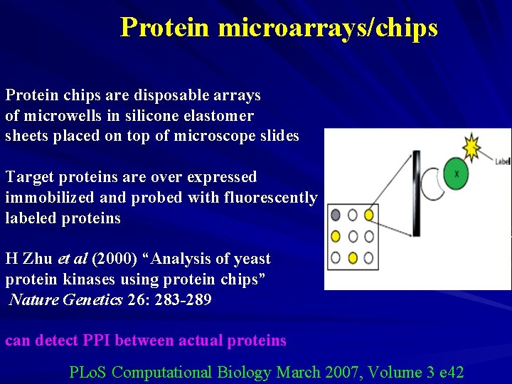 Protein microarrays/chips Protein chips are disposable arrays of microwells in silicone elastomer sheets placed