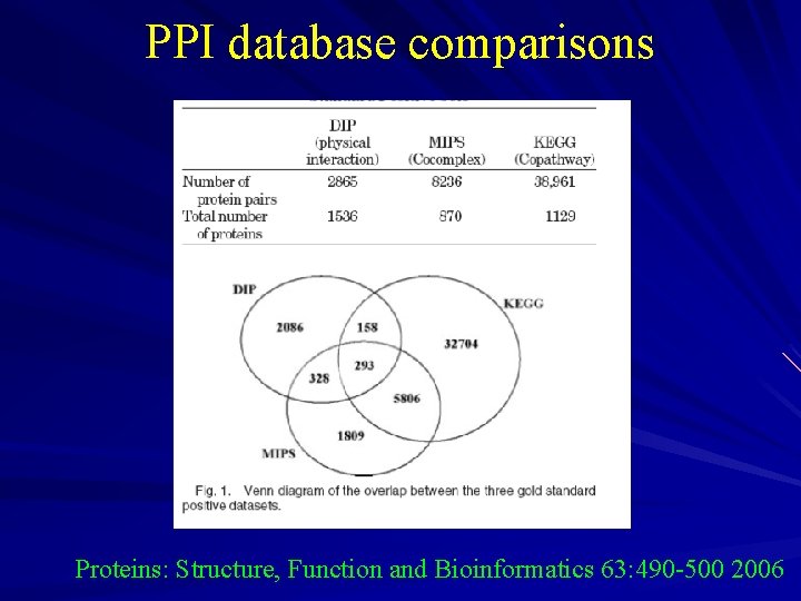 PPI database comparisons Proteins: Structure, Function and Bioinformatics 63: 490 -500 2006 