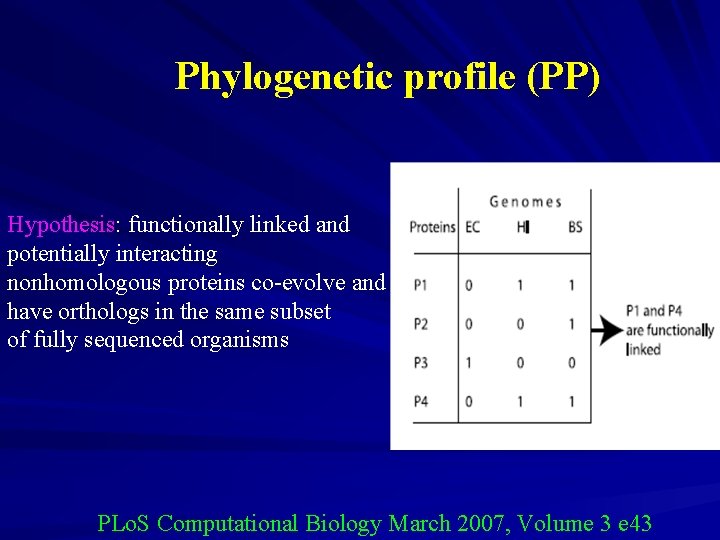 Phylogenetic profile (PP) Hypothesis: functionally linked and potentially interacting nonhomologous proteins co-evolve and have