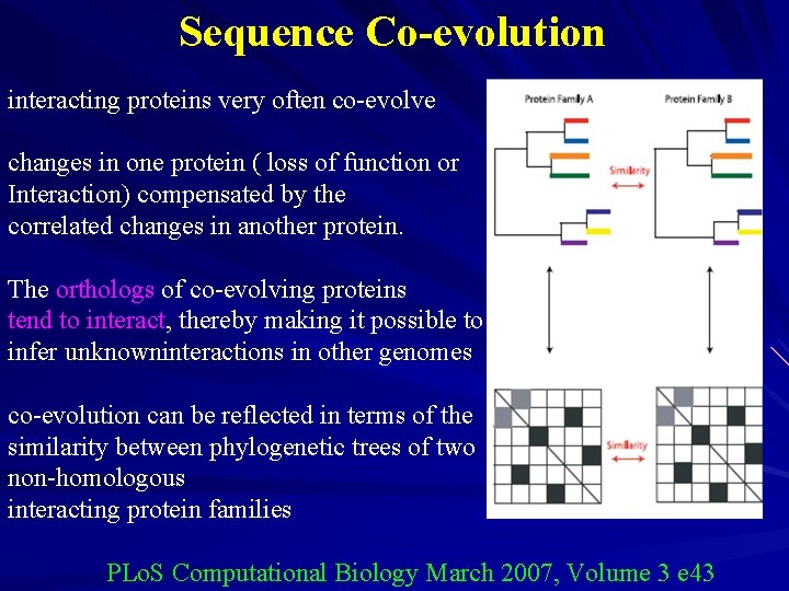 Sequence Co-evolution interacting proteins very often co-evolve changes in one protein ( loss of