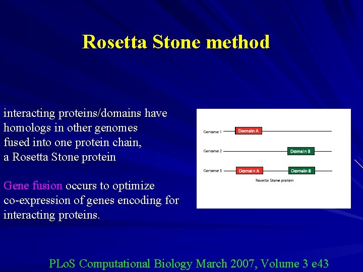 Rosetta Stone method interacting proteins/domains have homologs in other genomes fused into one protein