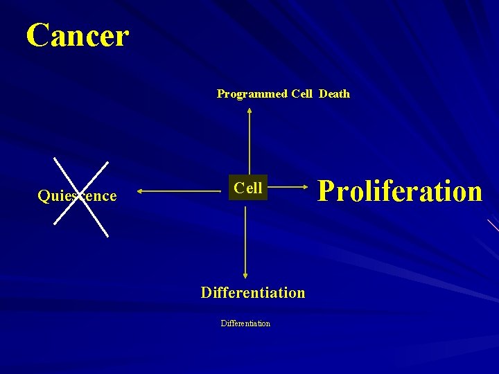 Cancer Programmed Cell Death Quiescence Cell Differentiation Proliferation 