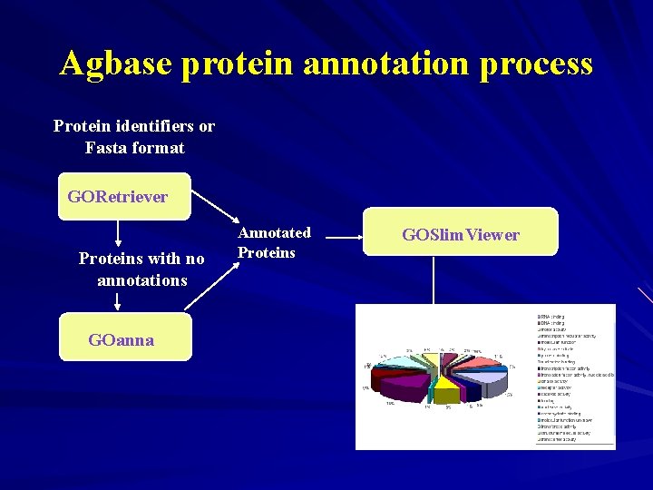 Agbase protein annotation process Protein identifiers or Fasta format GORetriever Proteins with no annotations