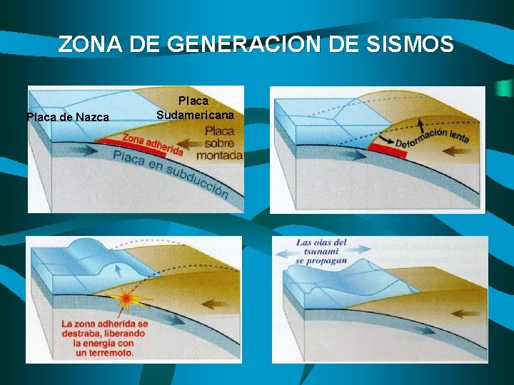 ZONA DE GENERACION DE SISMOS Placa de Nazca Placa Sudamericana 