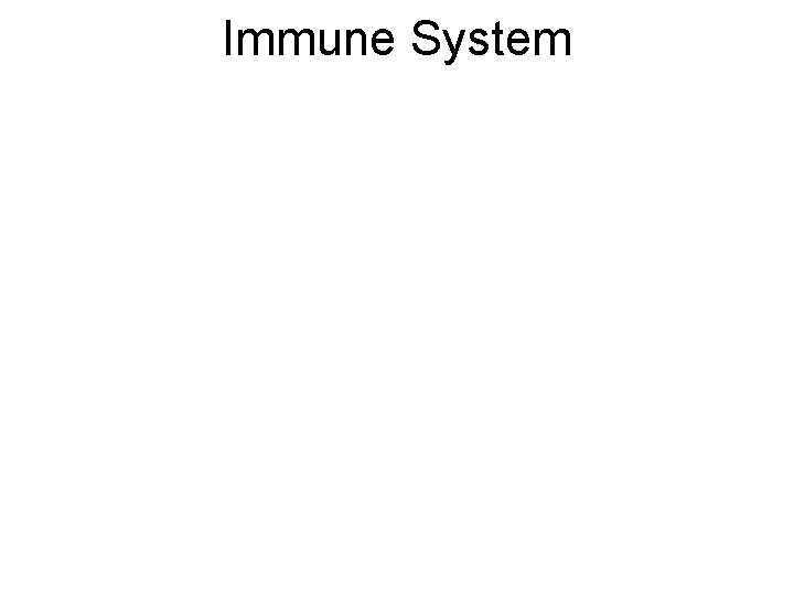 Immune System 